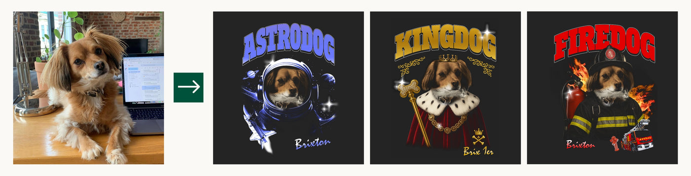 Bannière collection